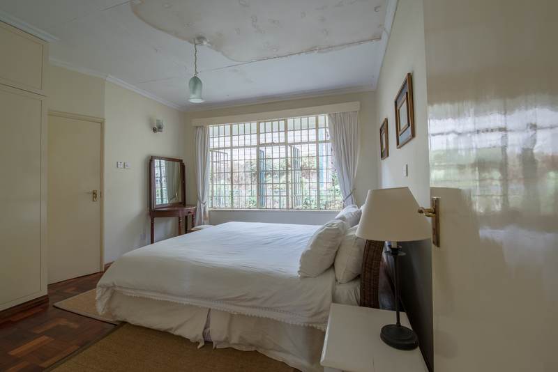 Forest House - Gallery 31